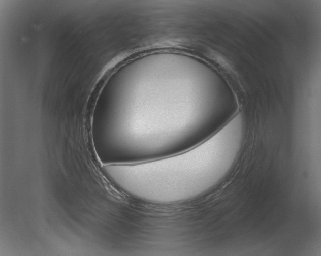 X0000081461308200701121030