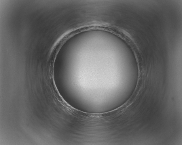 X0000081461310200701121030