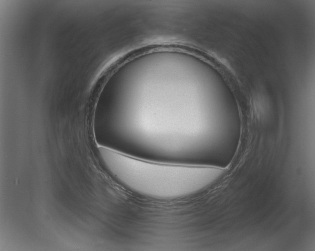 X0000081461311200701121030