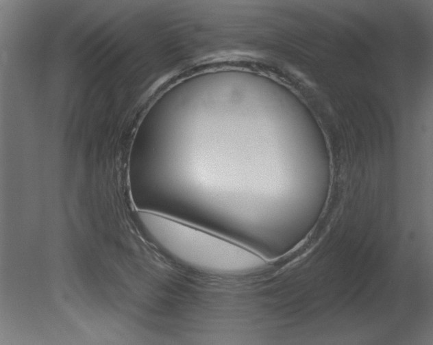 X0000081461313200701121031