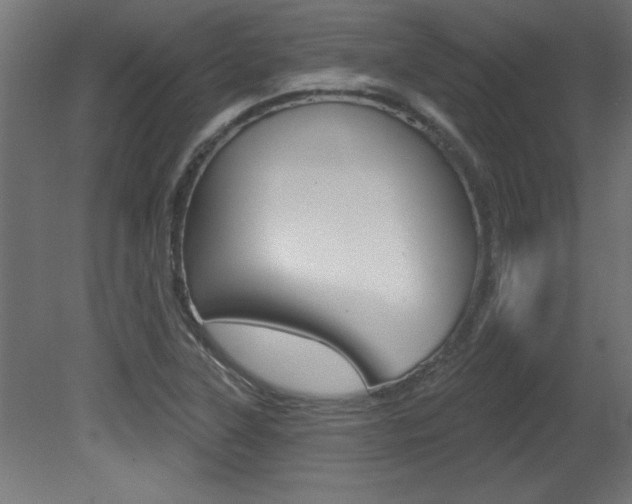 X0000081461315200701121031