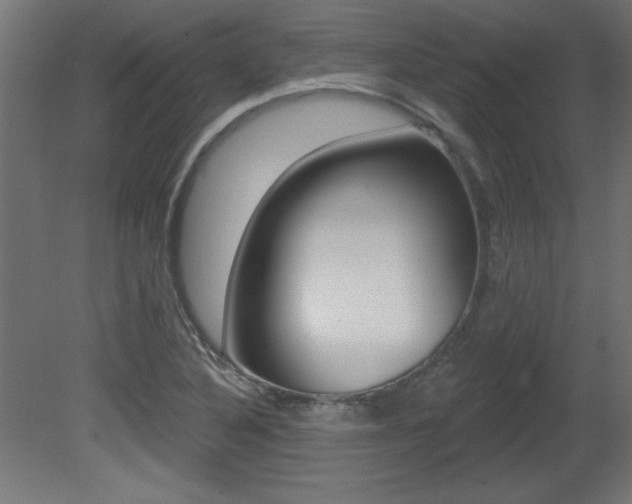 X0000081461316200701121031