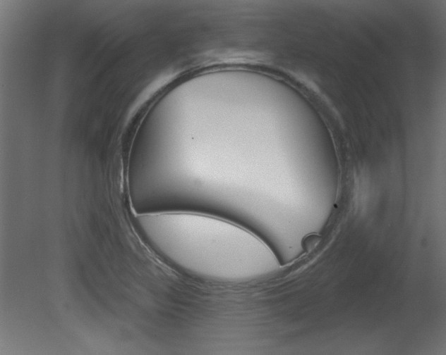 X0000081461317200701121031