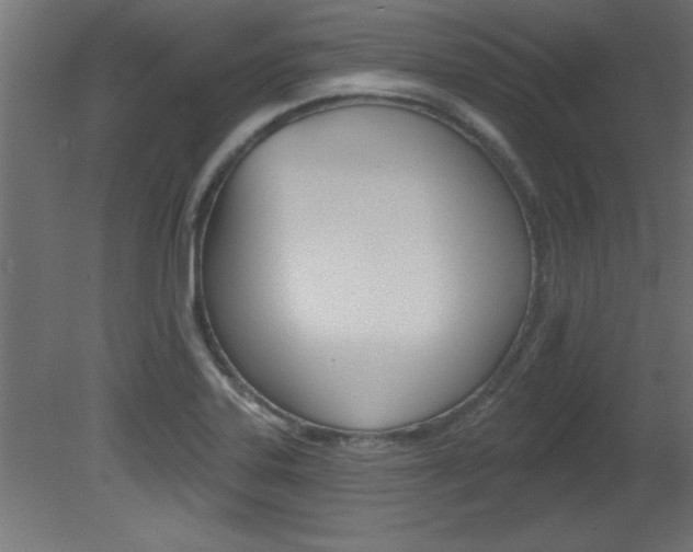 X0000081461323200701121031