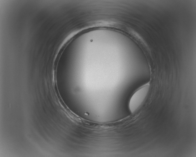 X0000081461324200701121031