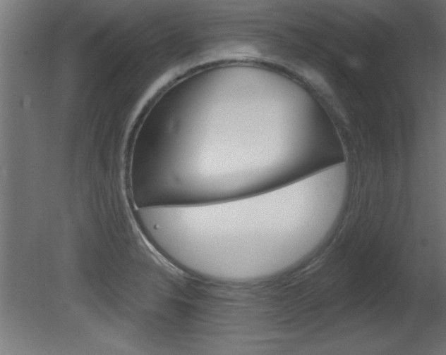 X0000081461326200701121031