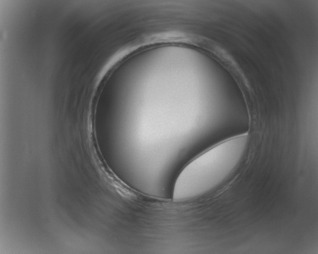 X0000081461328200701121031