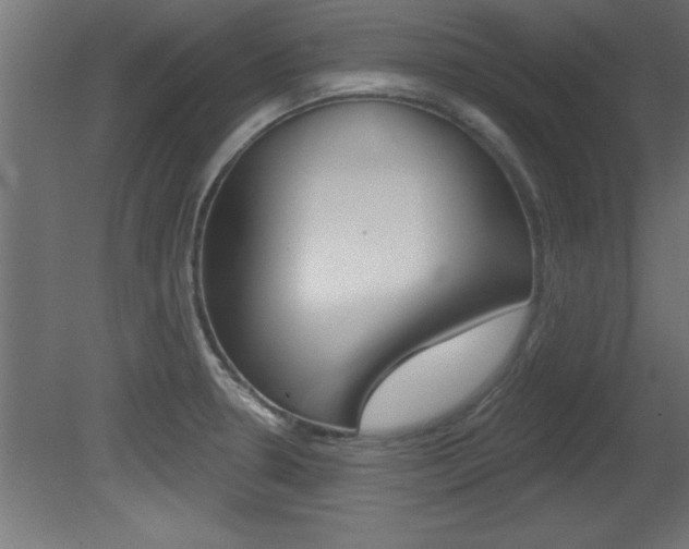 X0000081461330200701121031