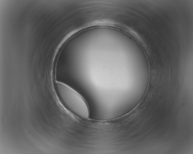 X0000081461331200701121031