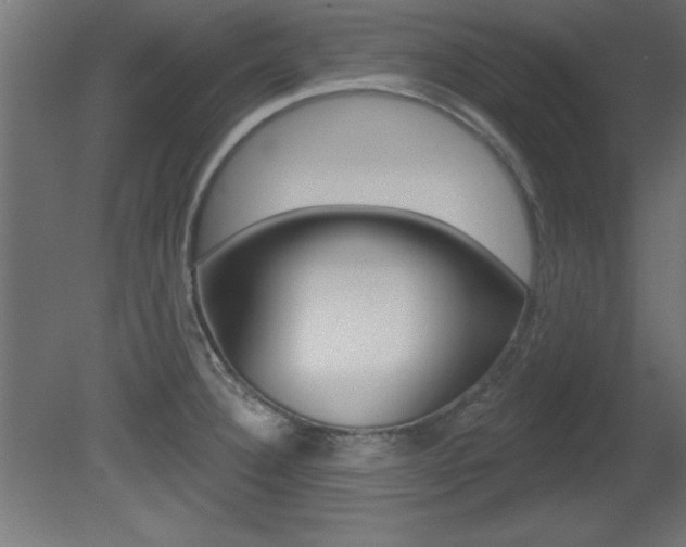 X0000081461332200701121031