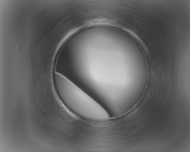 X0000081461333200701121031