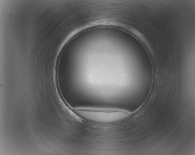 X0000081461334200701121031