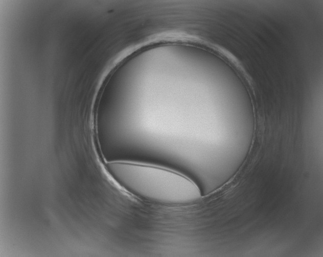 X0000081461335200701121031