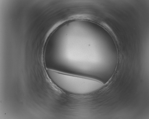 X0000081461336200701121031