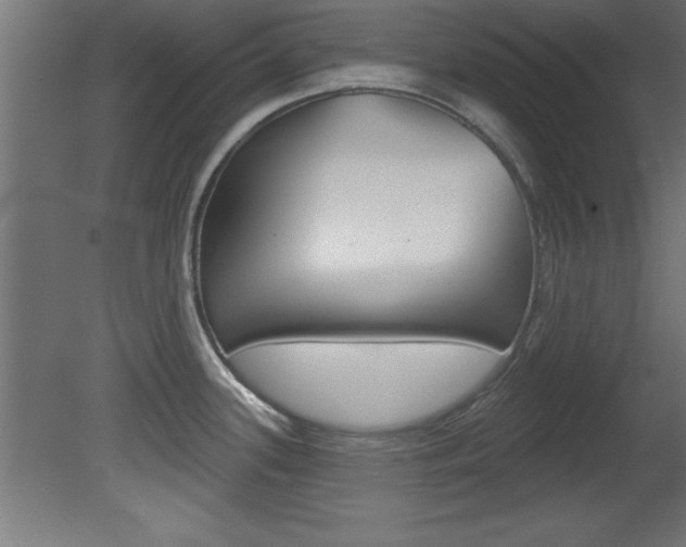 X0000081461339200701121031