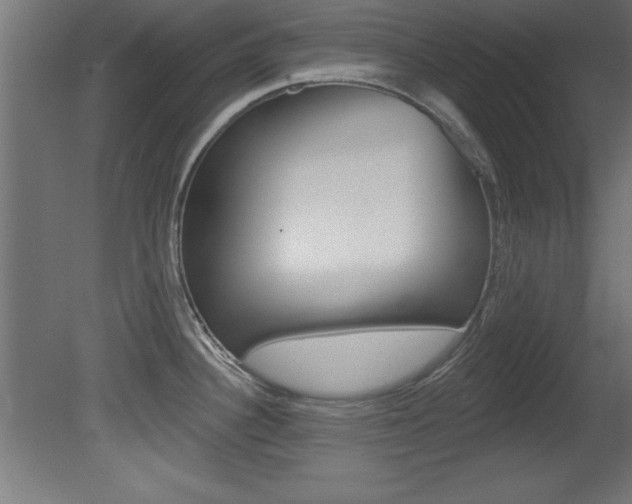 X0000081461340200701121031