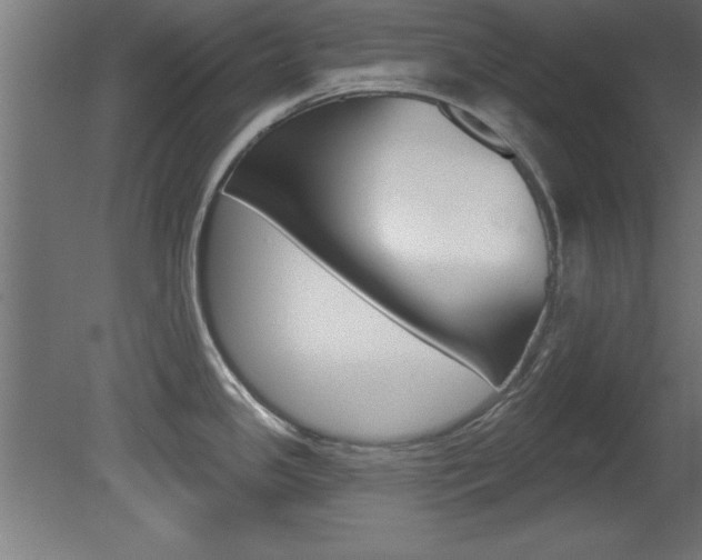X0000081461341200701121031