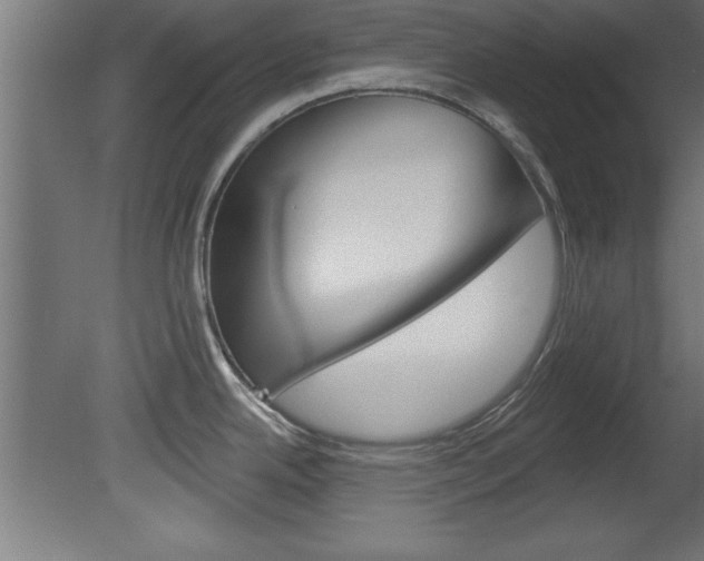 X0000081461342200701121031