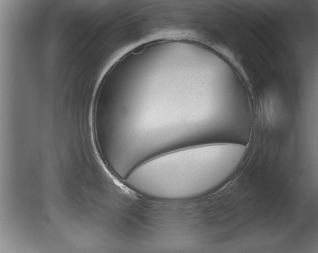 X0000081461343200701121031
