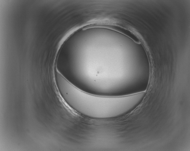 X0000081461344200701121031