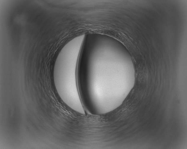 X0000081461345200701121030