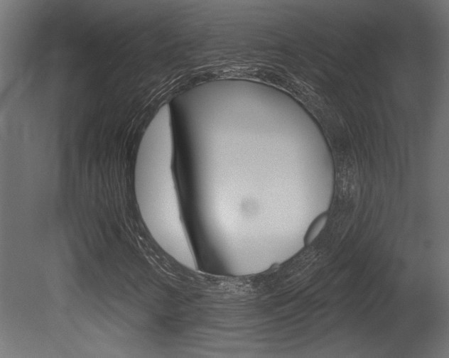 X0000081461346200701121030