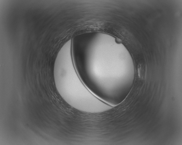 X0000081461347200701121030