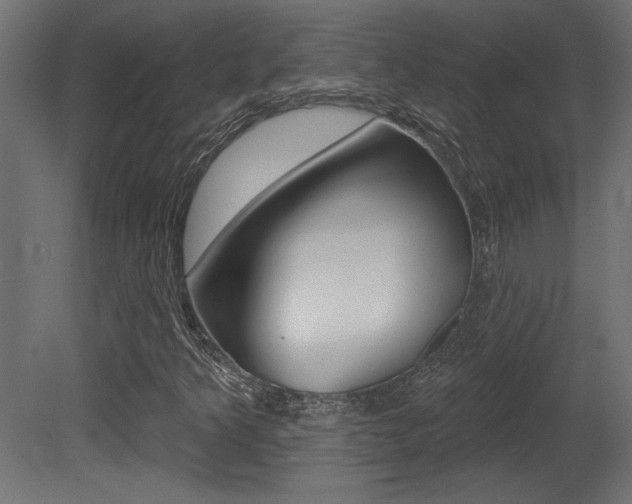 X0000081461349200701121030
