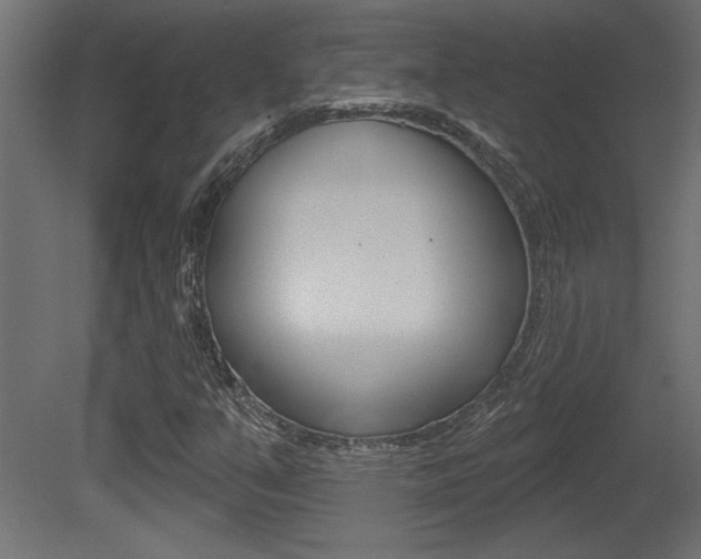 X0000081461351200701121030