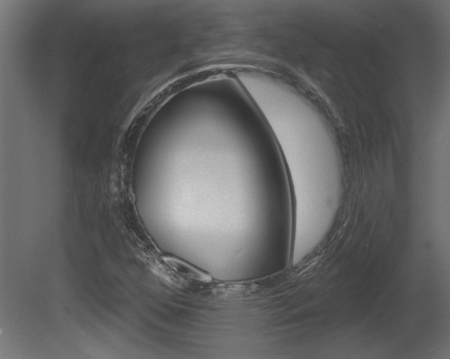 X0000081461352200701121030