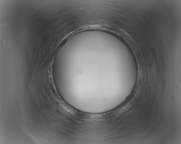 X0000081461353200701121030