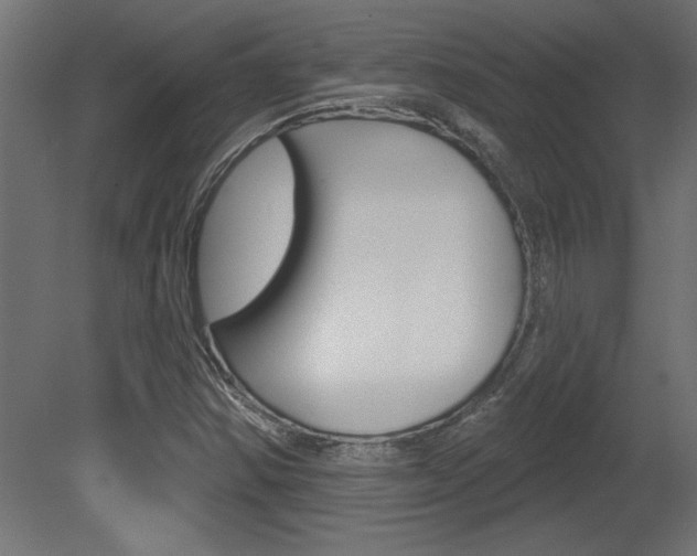 X0000081461354200701121030