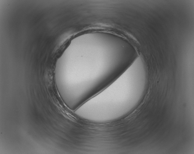 X0000081461355200701121030