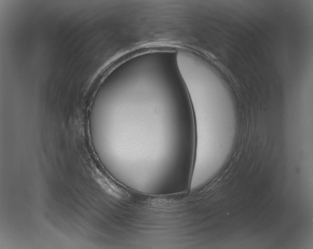 X0000081461356200701121030
