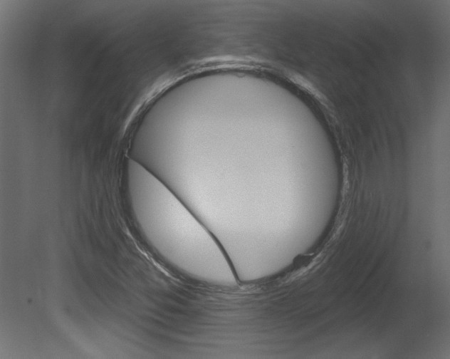 X0000081461357200701121030