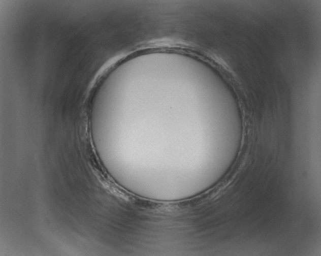 X0000081461358200701121030