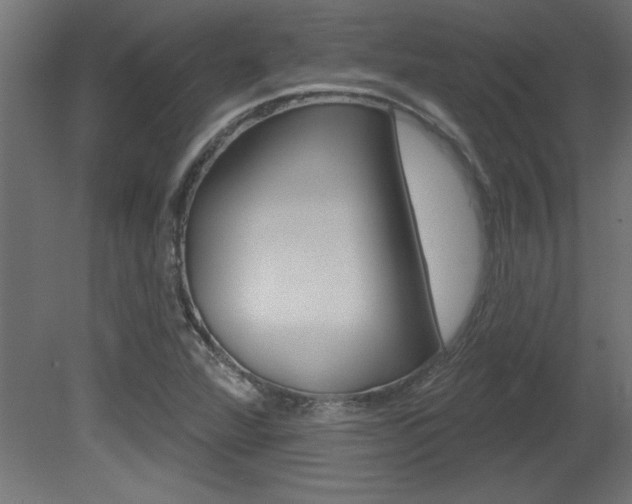 X0000081461360200701121030