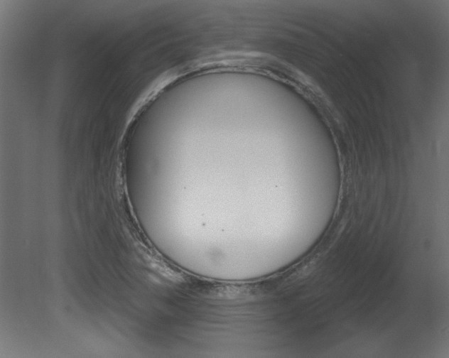 X0000081461362200701121030
