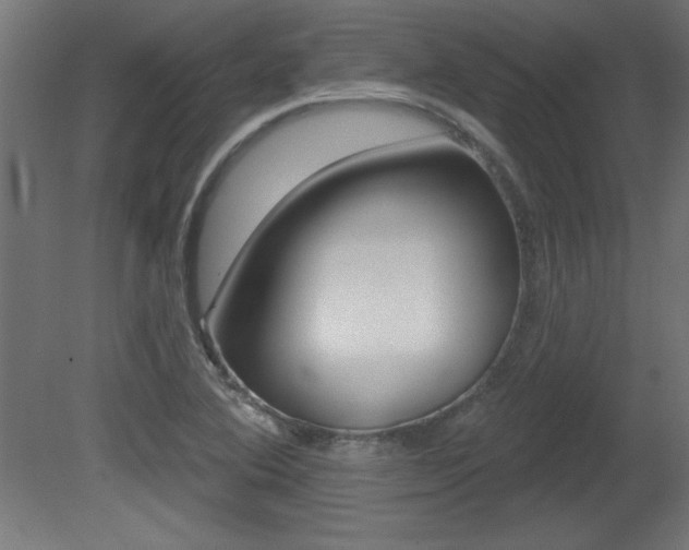 X0000081461364200701121030