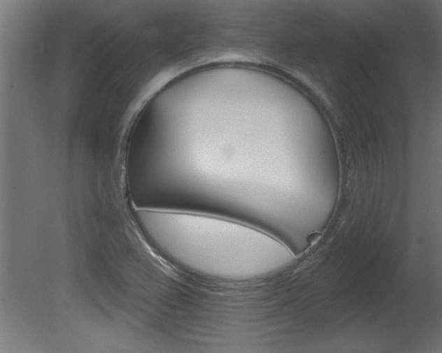 X0000081461367200701121030
