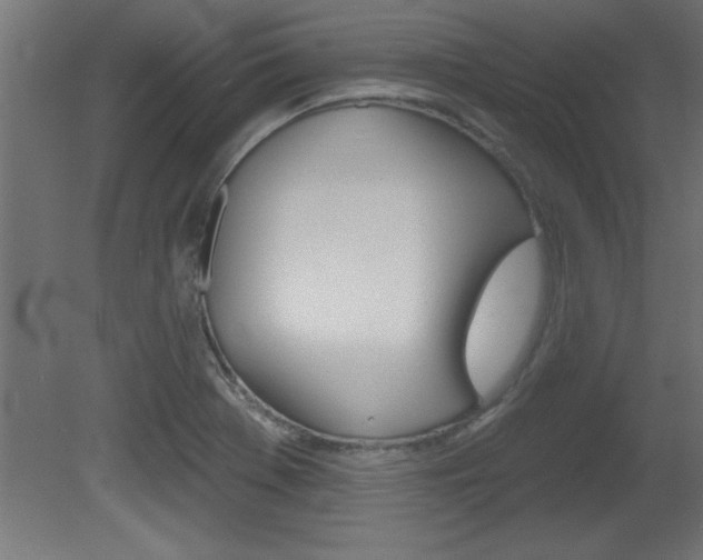 X0000081461369200701121030