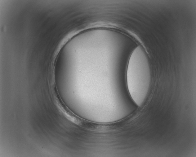 X0000081461371200701121030