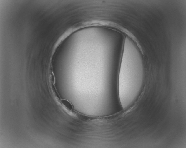 X0000081461373200701121030