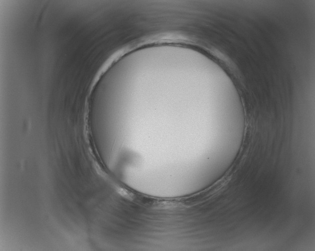 X0000081461374200701121030