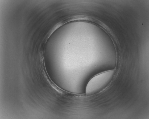 X0000081461377200701121030