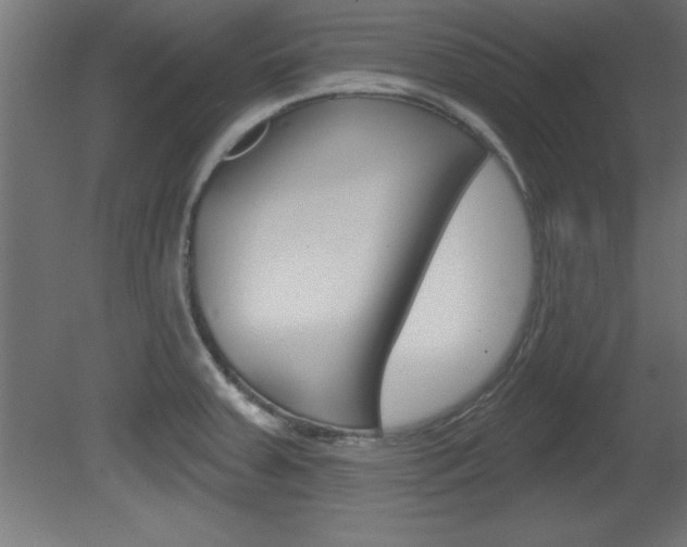 X0000081461379200701121030
