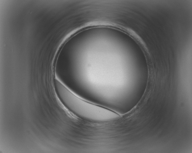 X0000081461380200701121030