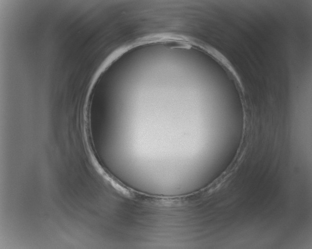 X0000081461381200701121030