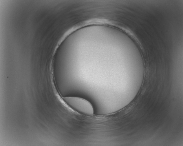 X0000081461382200701121030