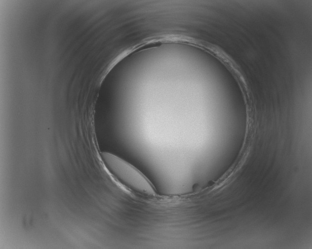 X0000081461385200701121030